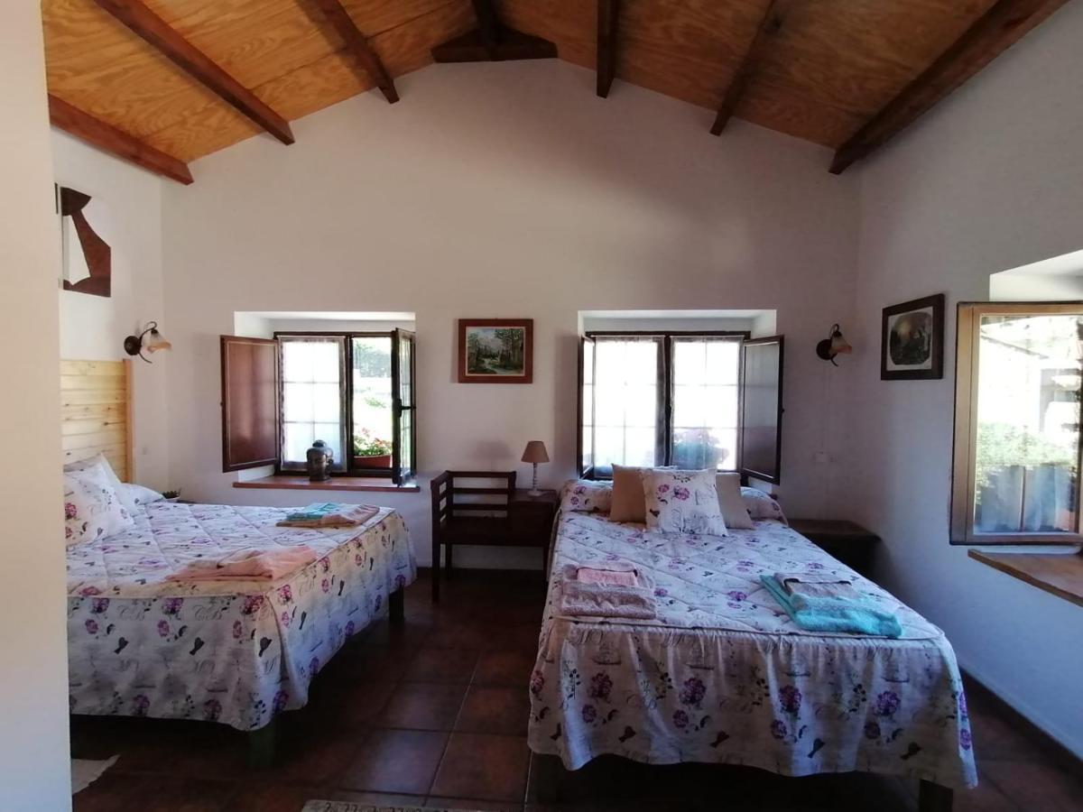 Casa Rural Nevada Horcadas المظهر الخارجي الصورة